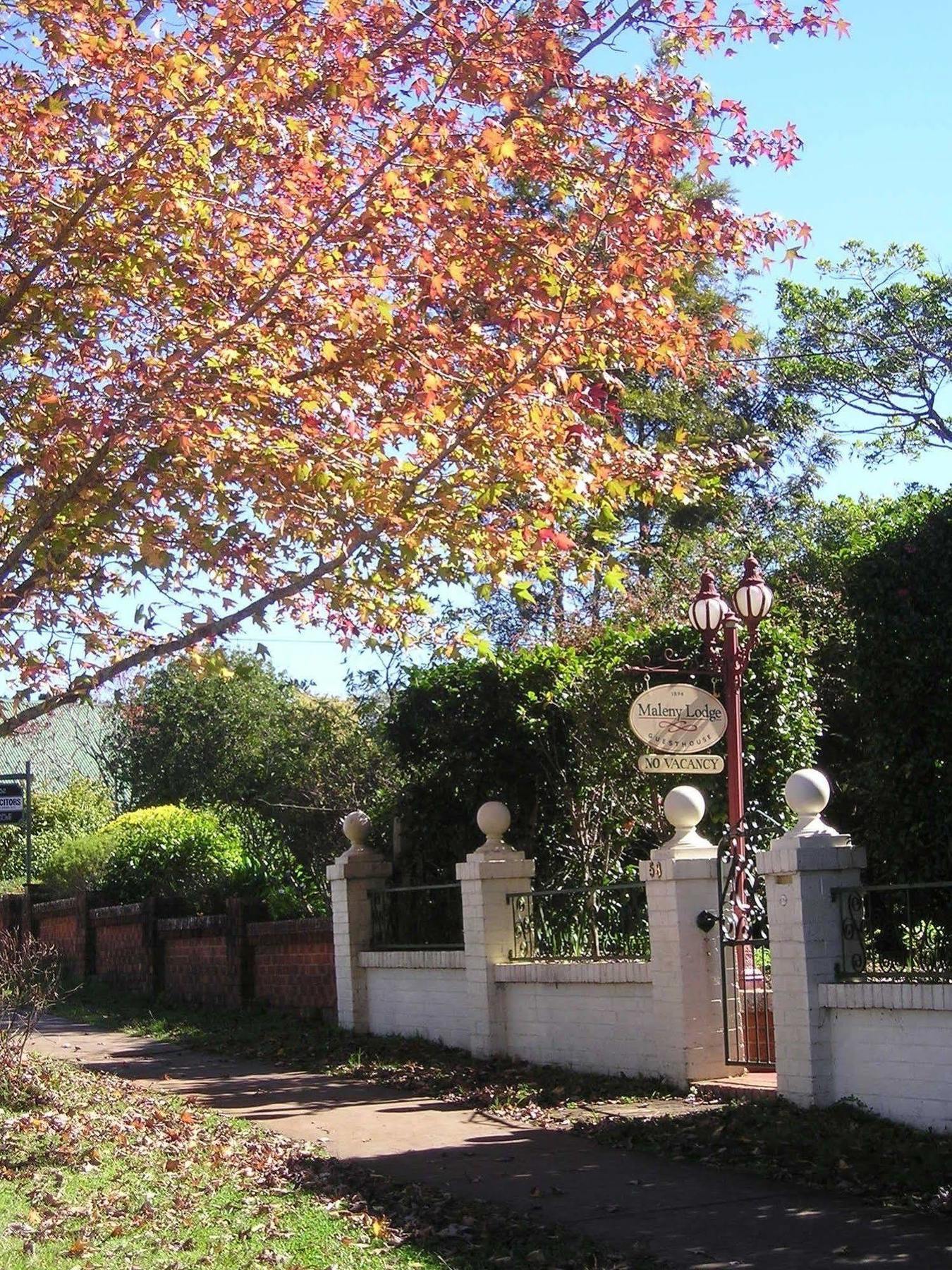 Maleny Lodge Exteriör bild